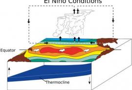 DAMPAK EL-NINO BAGI PETANI